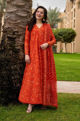 DANISA -  3PC LAWN EMBROIDERED FROCK V721