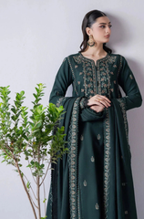 3PC DHANAK EMBROIDERED 670